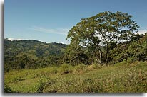 Barbacoas Puriscal , image
