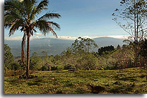 Ocean and valley views, photo