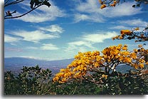 Costa Rica international community.image