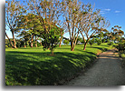 Investment land, Puriscal Costa Rica. jpg
