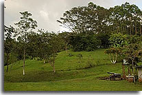 Costa Rica land for sale.jpg