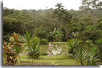 Puriscal Quinta, image