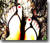 Alison Castro's web blog