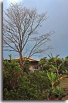 Homes near Puriscal, image