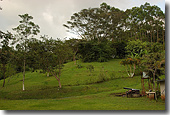 Tropical farm in Puriscal. jpg