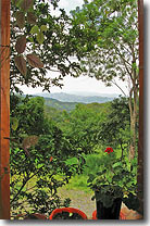 Costa Rica mountain home. image